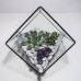 Сад в стекле "Ито", стеклянный флорариум