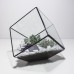 Сад в стекле "Ито", стеклянный флорариум